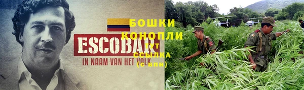 амф Сафоново