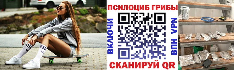 Галлюциногенные грибы Magic Shrooms  Заполярный 